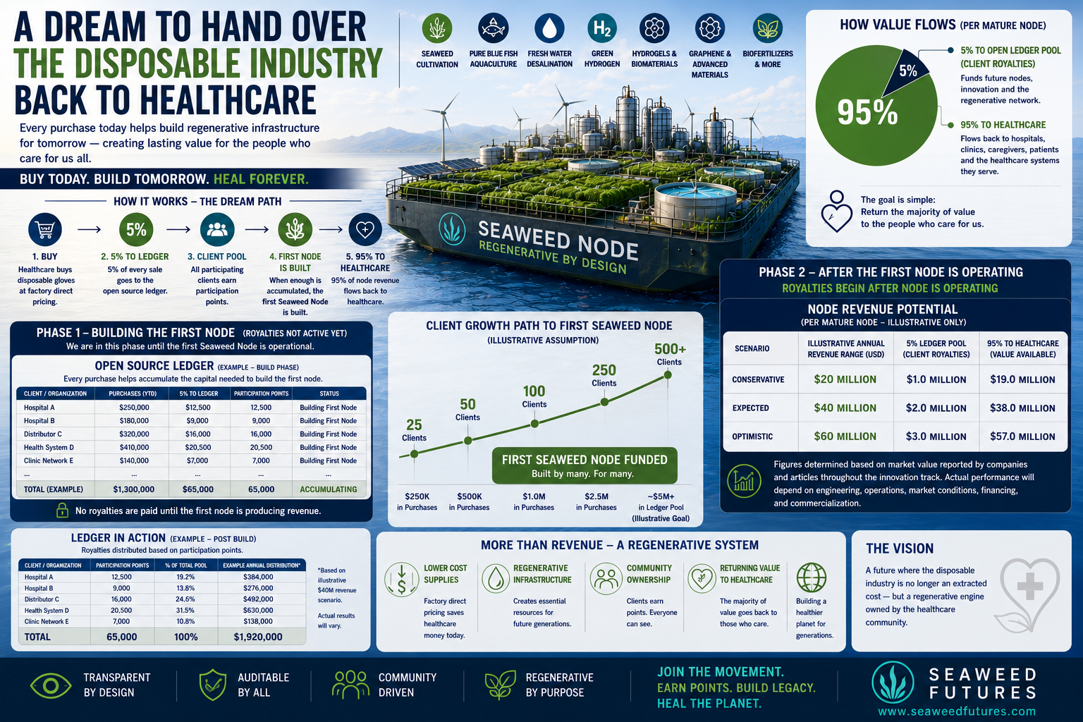 Healthcare participation ledger and node revenue potential